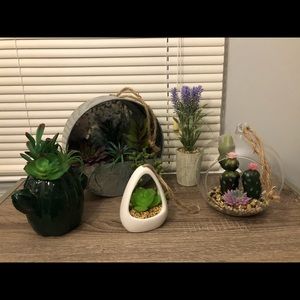 Faux Succulents- Set of 5